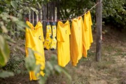 Easy Camp Spirit 300 Tunneltent - 3 Persoons - Groen -Buitenuitrusting 1267 1900 waslijn