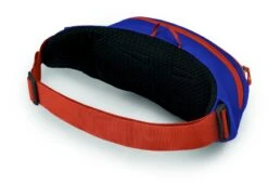Osprey Daylite Heuptas - Blauw/Oranje -Buitenuitrusting 1900 1425 daylitewaist s23 sideback silverliningblueberry 10005144