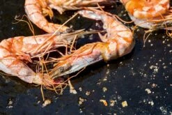 OFYR Kookboek -Buitenuitrusting 800 1200 cb no1 nl fr 3