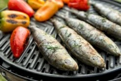 CADAC Grillo Chef 40 Gasbarbecue - BBQ 21 CADAC Grillo Chef 40 Gasbarbecue - BBQ -Buitenuitrusting 900 1348 grillo chef 40 bbq grid 1