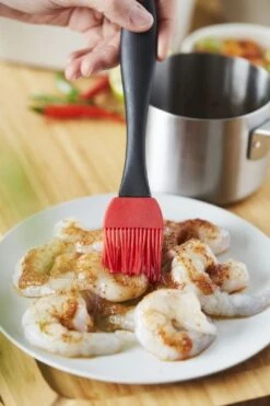 Barbecook Sauspan Met Marinadeborstel -Buitenuitrusting 900 600 bc acc 7211 sf 12 hr