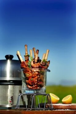 Cobb Premier+ Gas Gasbarbecue - Grijs -Buitenuitrusting cobb premier 3 1