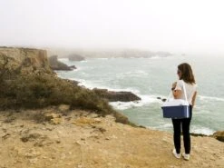 Mobicool MT08 Blauw Autokoelbox - 8 Liter -Buitenuitrusting mobicool mt 08 cliff woman 1 resultaat