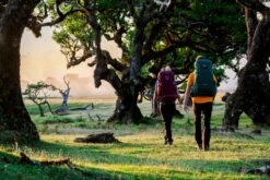 Osprey Renn Backpack - 50 Liter - Paars -Buitenuitrusting osprey rennrook 1